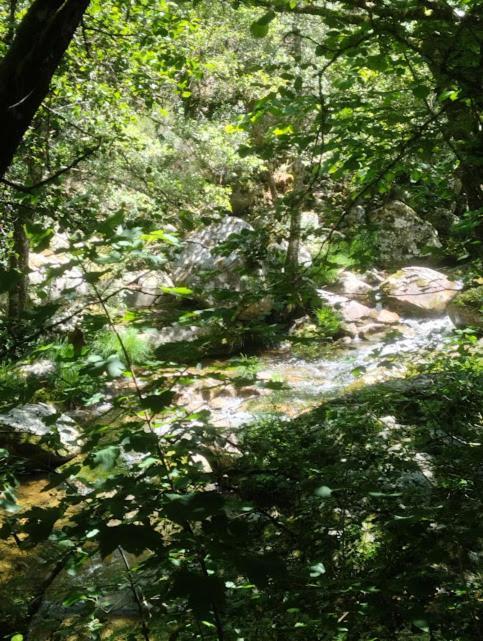 Villa O Recuncho Da Isa - Ribeira Sacra Pereiro de Aguiar Esterno foto
