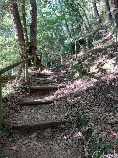 Villa O Recuncho Da Isa - Ribeira Sacra Pereiro de Aguiar Esterno foto